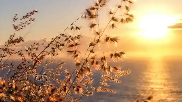 sunset image